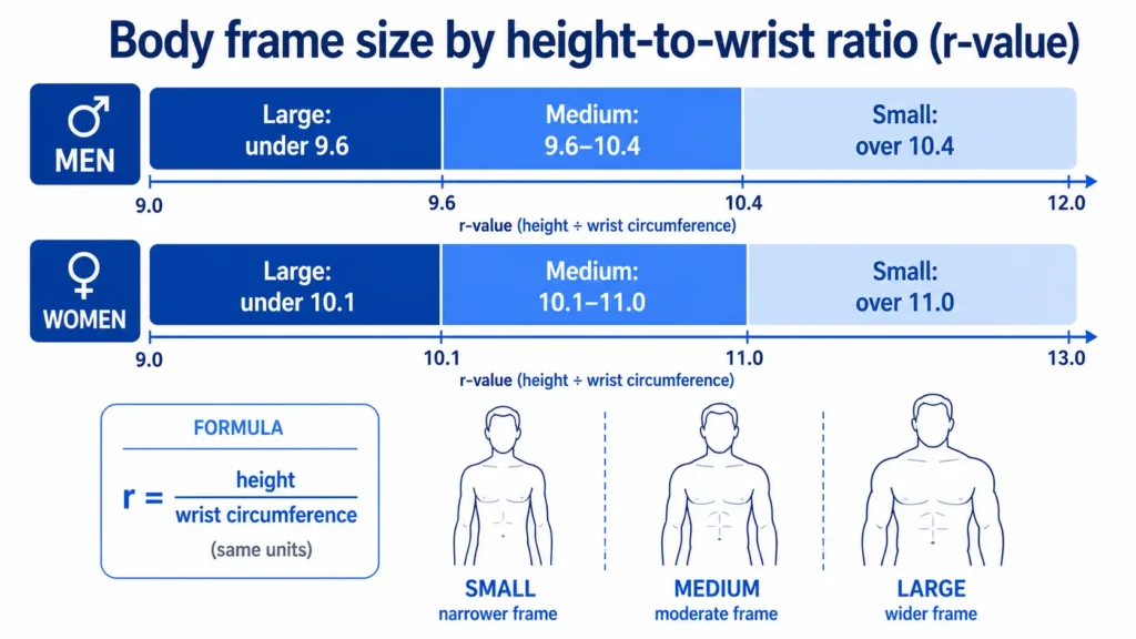 Body frame size chart showing small, medium, and large frame r-value ranges for men and women based on height divided by wrist circumference