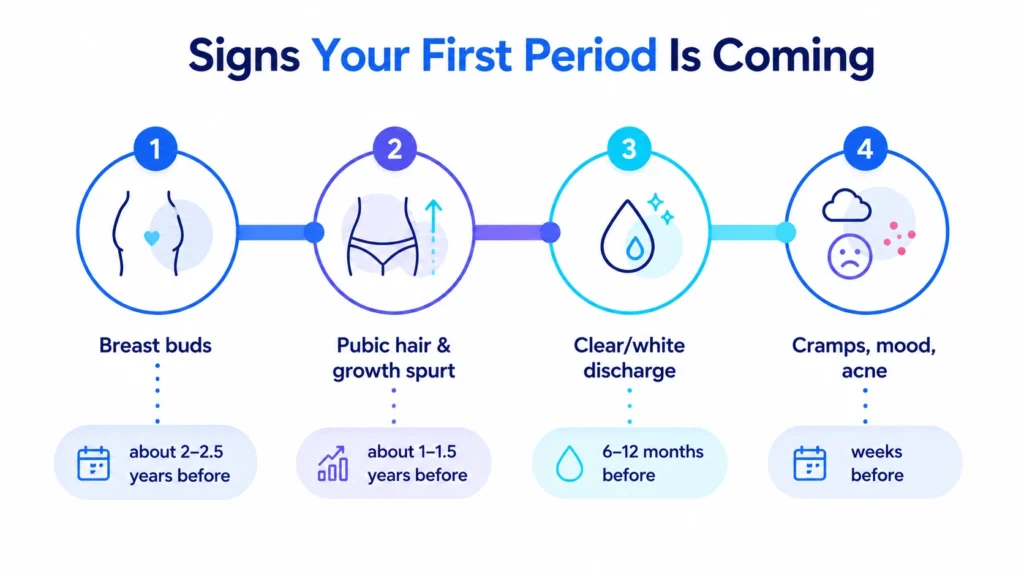 Timeline of first period signs from breast buds and discharge to the first menstrual period
