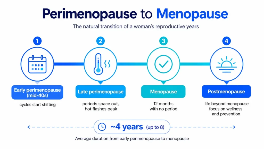 Perimenopause stages timeline showing the path to menopause used by a menopause age calculator
