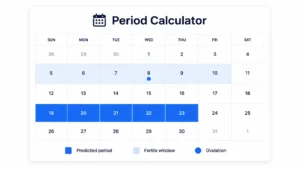Period calculator showing a predicted next period date and fertile window on a monthly calendar