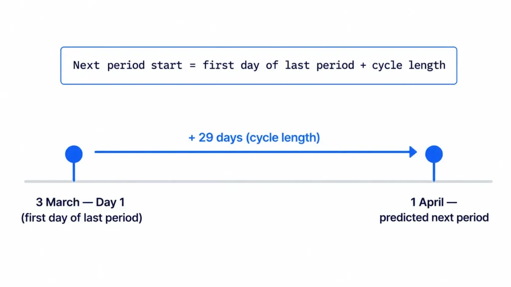 Period cycle calculator formula diagram: 3 March plus a 29-day cycle predicts a 1 April period start